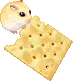 hamster 