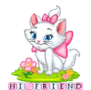 Hi Friend