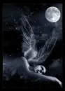 Angel Moon Stars