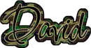 David Camoflauge