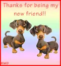 Thanks For Being My Friend