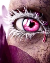 pinki eye