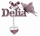 Delia Butterfly Heart Charm