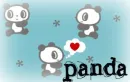 panda...<3