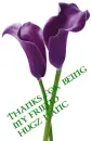 Thank you - personal
