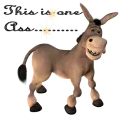 Donkey, thumbs up. 