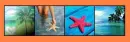 Summer Icons