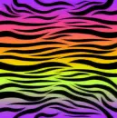 Colorful Zebra Stripes