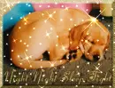 Sleeping Puppy