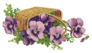 Purple flowers