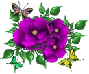 Purple flowers with butterfly