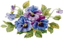 Pansies