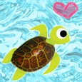 I Love Turtles!!