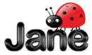 jane ladybug