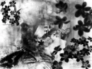 black and white flowers and butterflies