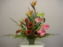 flores