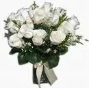 rosas