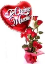 rosas