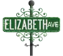 green street sign elizabeth AVE
