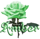 green rose amber
