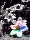 colorful. â™¥