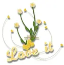 Love it, flowers