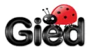 gied ladybug