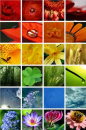 Fowers and More