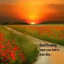 Nice Evening