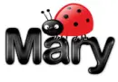 mary ladybug