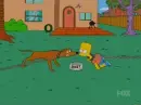 Bart Simpson