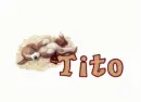 Tito