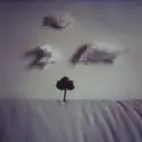 clouds, tree