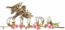  â—•â€¿â—•GILDA â—•â€¿â—• with áƒ¦`:â™¥ The Birdsáƒ¦`:â™¥ 