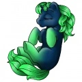 my pi pony