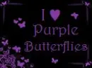 I â™¥ Purple Butterflies
