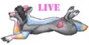 Live love laugh w/Fursona