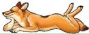 Lovely Fox - blink!