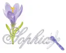 dragonfly flower sophia