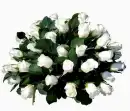 rosas