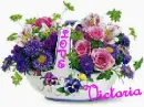 Victoria's Love flowers . 