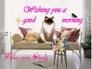 Cindy take care, good morning