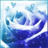 Kawaii Rose