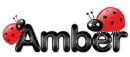 amber ladybug