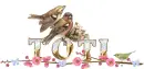 TOTI with Birds...