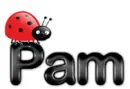 pam ladybug