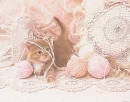 kitty