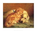 Friendship