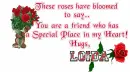 Roses for you friend-Loida