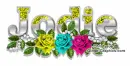 Rainbow rose, Jodie